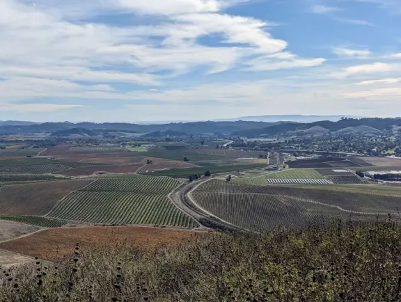 Pretty hike, with views over SLO town, flowers in the spring, and surprise at the top!