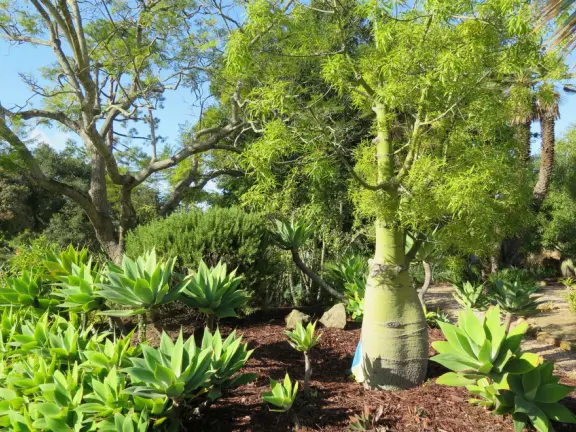 A small park tucked into a canyon in the back of a beautiful neighborhood.