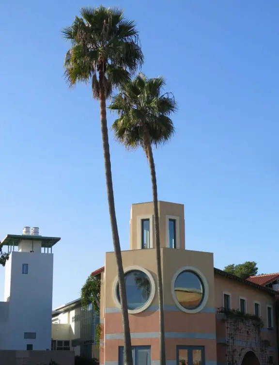 A walk past grassy knolls, a shimmering lagoon, and picturesque bluffs above the ocean, all in the vibrant atmosphere of campus!