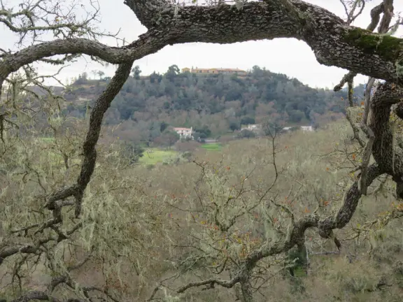 View at the top. 