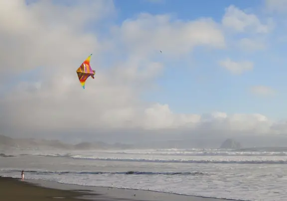 A pretty beachside town, with a wooden pier and wide windy beach with perfect views of Morro Rock, and colorful houses with gardens, backed by gently-sloping hills.