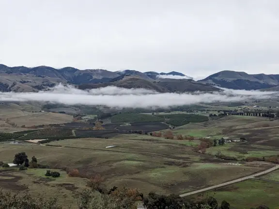Pretty hike, with views over SLO town, flowers in the spring, and surprise at the top!