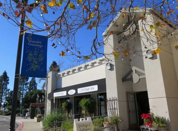 Nice little main street, with cafes, pretty storefronts, park, swinging bridge over a creek with tropical vegetation, and neighborhood with white picket fences and gardens.