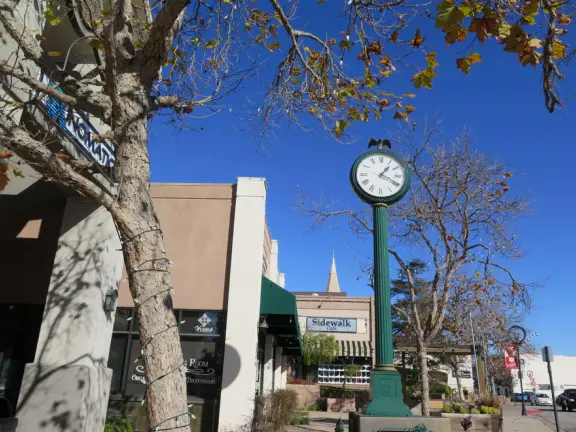 Nice little main street, with cafes, pretty storefronts, park, swinging bridge over a creek with tropical vegetation, and neighborhood with white picket fences and gardens.