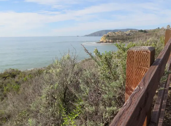 Stunning 0.4 mile paved path on cliffs above the sea, across from mansions.