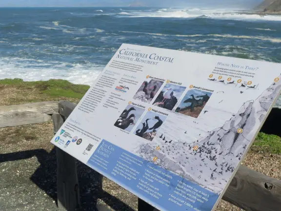 Hard-packed dirt trail with overlooks above glorious coves and rocks. Two miles each way.