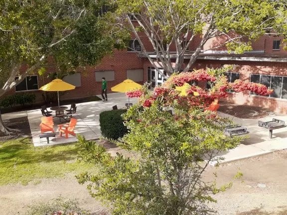 Hilly, sunny campus with tall, impressive trees and green lawns. A hands-on learning university.