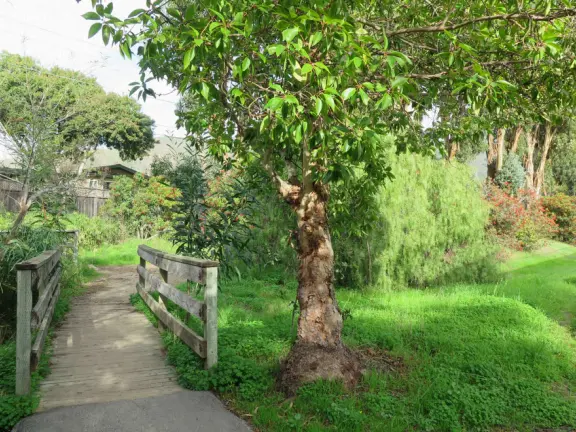 Best playground you'll ever visit! Huge slides, hillside slides, steep grass slope for cardboard sledding, cable zipline, and pretty trees to picnic under.