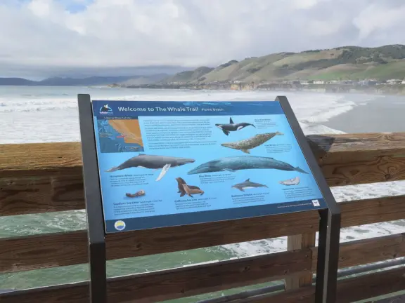 Gorgeous spot with wide pier, surfers carving the waves, whale playground, wide open attractive plaza, Pismo Beach selfie sign, and wooden promenade with views of the hills and sea.