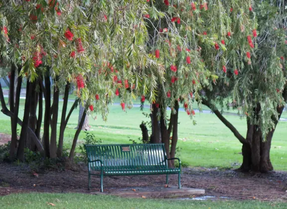 A lush park with rolling hills to run on, one-mile loop walking path, and basketball and sand volleyball courts. Currently has a crime problem.