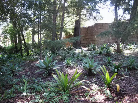 Montecito estate with magical gardens, summer-only music school, and year-round concerts.