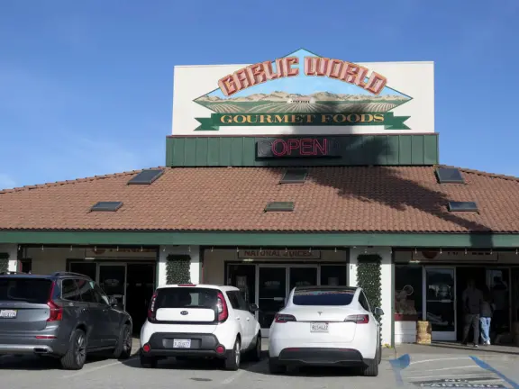 Fun place to stop to break up your long drive on Highway 101!