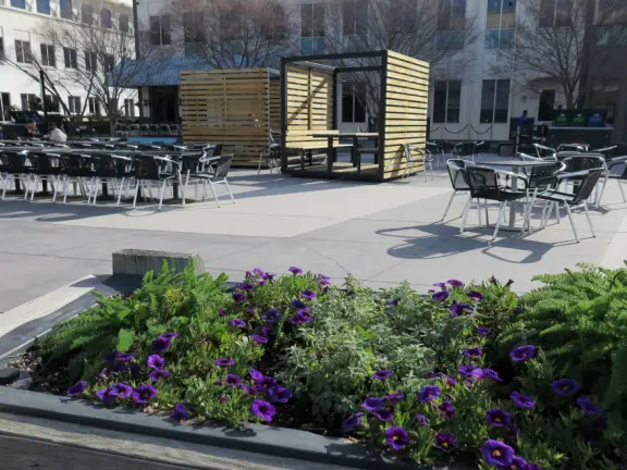 If you know someone who works at Meta, they can bring you to tour the campus!