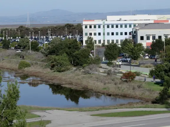 If you know someone who works at Meta, they can bring you to tour the campus!