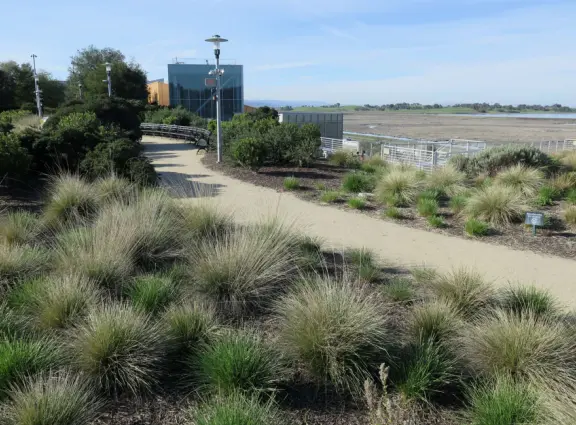 If you know someone who works at Meta, they can bring you to tour the campus!