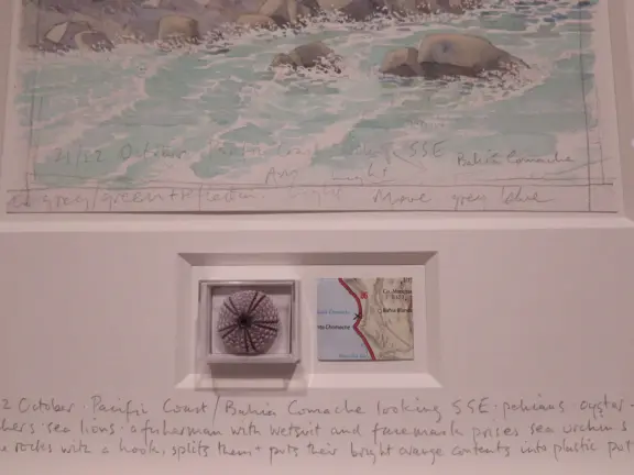 I like art museums based on one artist and their life adventures!