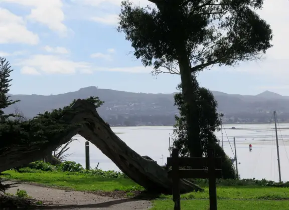 Blissful views of estuary and sailboats, eucalyptus trees, cypress trees, the bay and a little rocky point. Also called Windy Cove Hike.&nbsp;