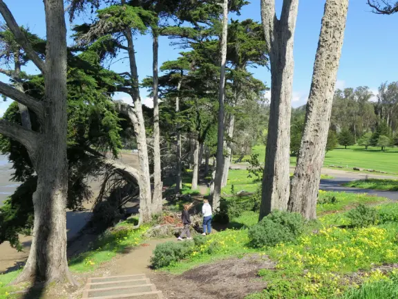 Blissful views of estuary and sailboats, eucalyptus trees, cypress trees, the bay and a little rocky point. Also called Windy Cove Hike.&nbsp;