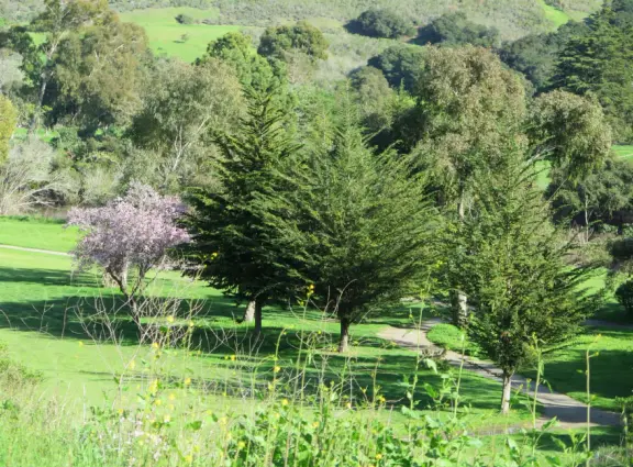 Wide partially shady path that leads through oak forest, past a market, and a Secret Garden with live music, to Avila Beach.