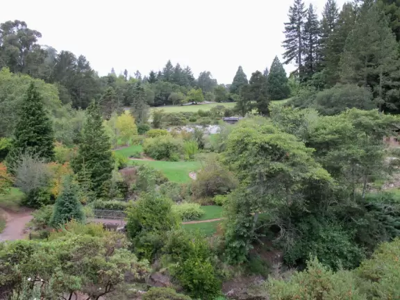 A wondrously beautiful place lush with the most beautiful trees, plus cute bridges and pathways.