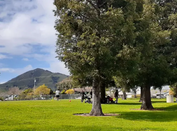 A lush park with rolling hills to run on, one-mile loop walking path, and basketball and sand volleyball courts. Currently has a crime problem.