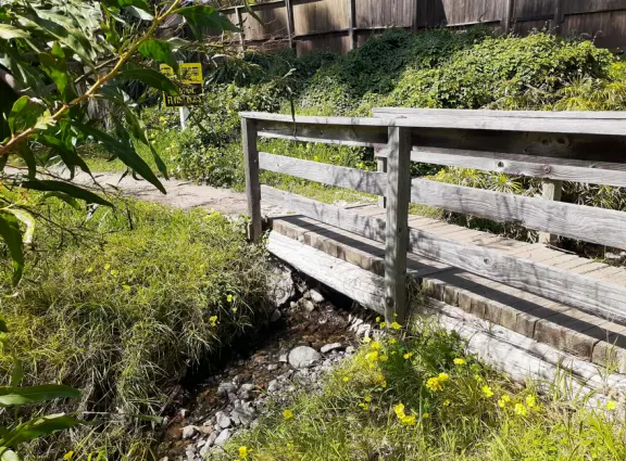 Best playground you'll ever visit! Huge slides, hillside slides, steep grass slope for cardboard sledding, cable zipline, and pretty trees to picnic under.