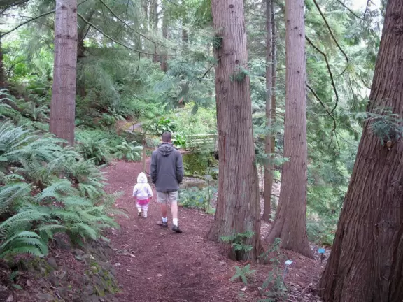 A wondrously beautiful place lush with the most beautiful trees, plus cute bridges and pathways.