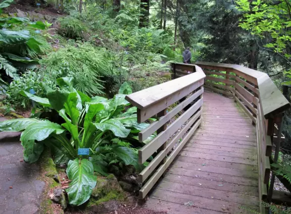 A wondrously beautiful place lush with the most beautiful trees, plus cute bridges and pathways.