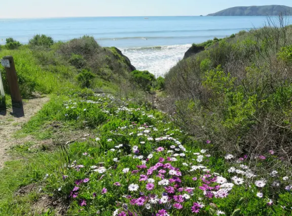 Supremely nice views from many varied vantage points. A clifftop park, beach with tide pools, and start of a long walk.