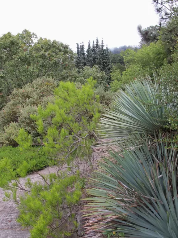 A wondrously beautiful place lush with the most beautiful trees, plus cute bridges and pathways.