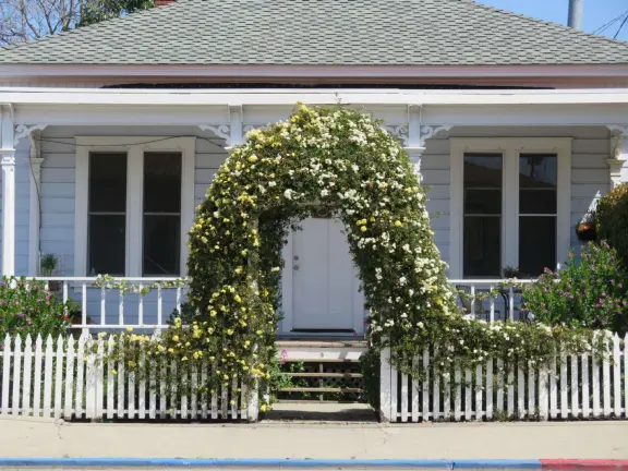 Flowering archway. 