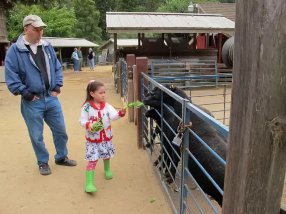 Clean, spacious petting zoo among gorgeous scenery. Plus a small rock-climbing playground.