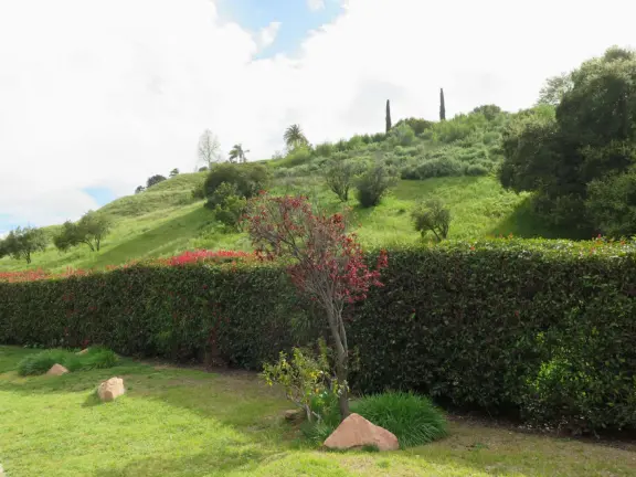 Wide, hard-packed dirt trail with views of a cute mountain peak.
