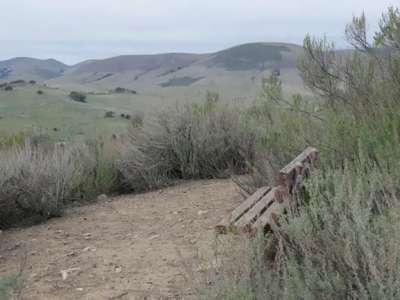 Wonderful 1.6 mile out-and-back uphill trail with 360 degree views! A good trail for winter. 18% grade max- steep the whole way.