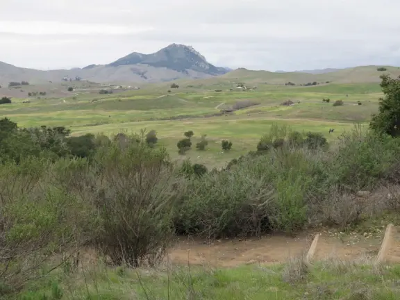 Wonderful 1.6 mile out-and-back uphill trail with 360 degree views! A good trail for winter. 18% grade max- steep the whole way.