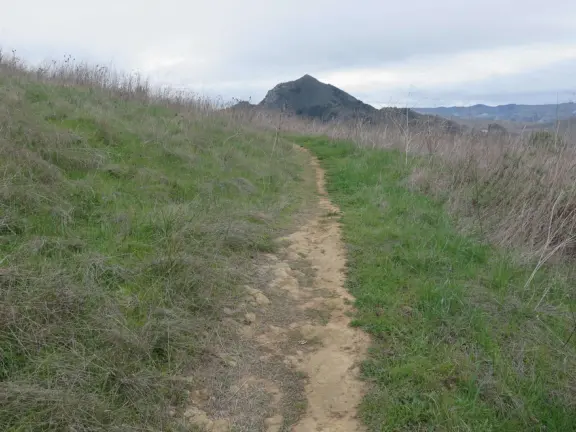 Wonderful 1.6 mile out-and-back uphill trail with 360 degree views! A good trail for winter. 18% grade max- steep the whole way.
