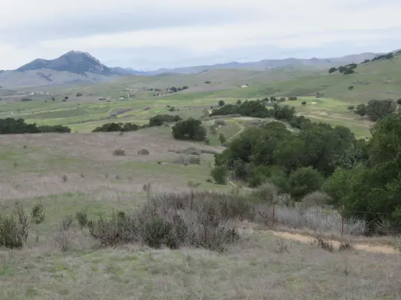 Wonderful 1.6 mile out-and-back uphill trail with 360 degree views! A good trail for winter. 18% grade max- steep the whole way.