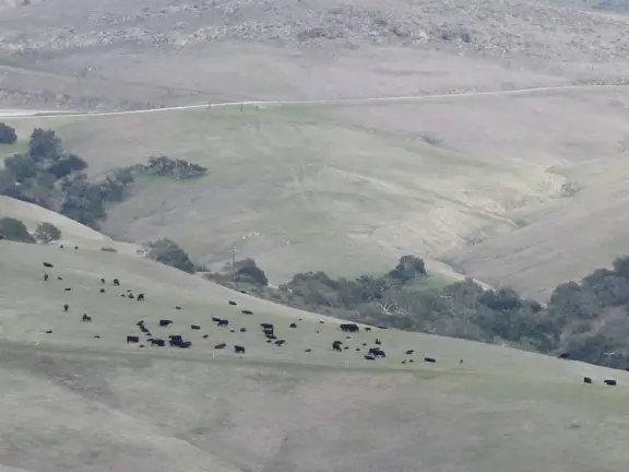 Wonderful 1.6 mile out-and-back uphill trail with 360 degree views! A good trail for winter. 18% grade max- steep the whole way.