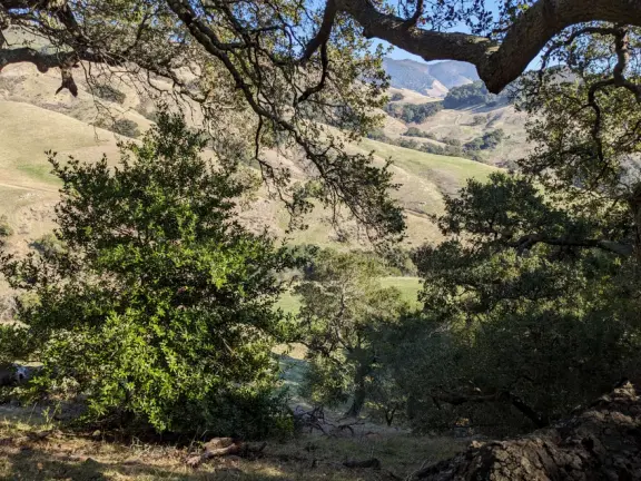 Wonderful wide open spaces with mountains of all shapes and sizes! First mile is shady. Four mile out and back, or five mile lollipop loop hike. Optional detours: architecture creations, or mountaintop swing.