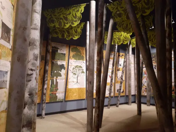 Like a children's museum, with lots of fun hands-on activities and colorful rooms, but plenty of interesting information for adults to read too.