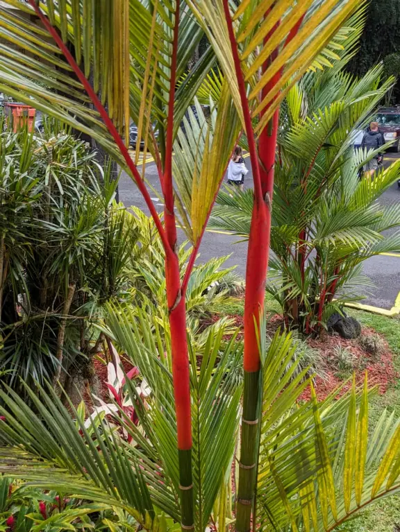 Boats and kayaks in the water, while local families have big gatherings on the grass.