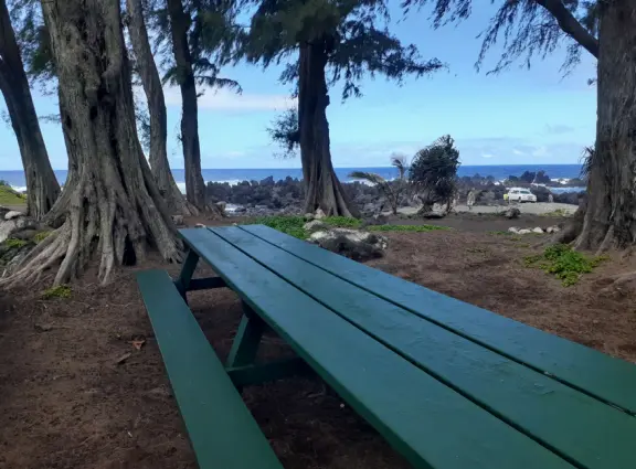 Rocky beach park with so much atmosphere.