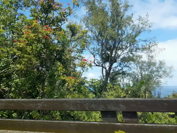 Stunning scenery, with many great stops, on this&nbsp;one hour&nbsp;drive.