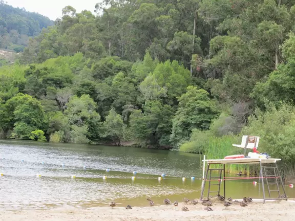Lake with sandy beach and pretty views of forest across the water.