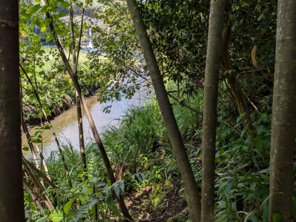 Wai'ale (Waiale) Falls is a difficult, short hike in gorgeous rainforest, to a waterfall. Those who stay behind can see the waterfall anyway, from the highway bridge!