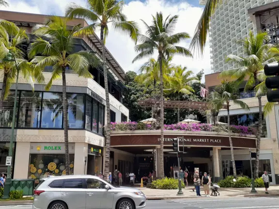 An outdoor mall under a huge banyan tree hung with lanterns. Beautiful flowers by a stream, rock-like seats kids love, and rain fountain.