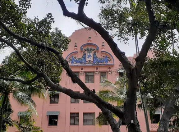 Great swim! A magical place at sunset and late into the night.