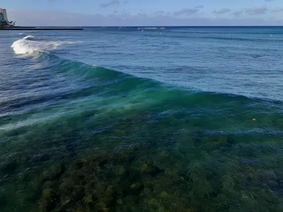 A jetty with a gazebo on the end, in the heart of Waikiki Beach. A popular bodyboarding and snorkeling spot where the reef is inches from your knees!