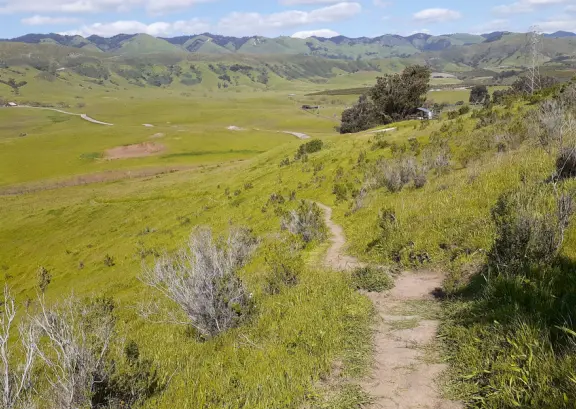 Pretty hike, with views over SLO town, flowers in the spring, and surprise at the top!