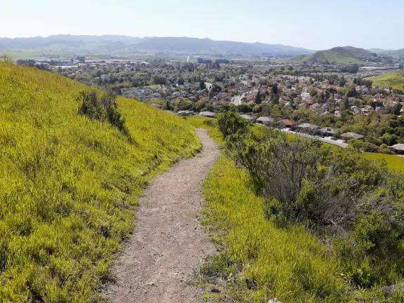 Pretty hike, with views over SLO town, flowers in the spring, and surprise at the top!